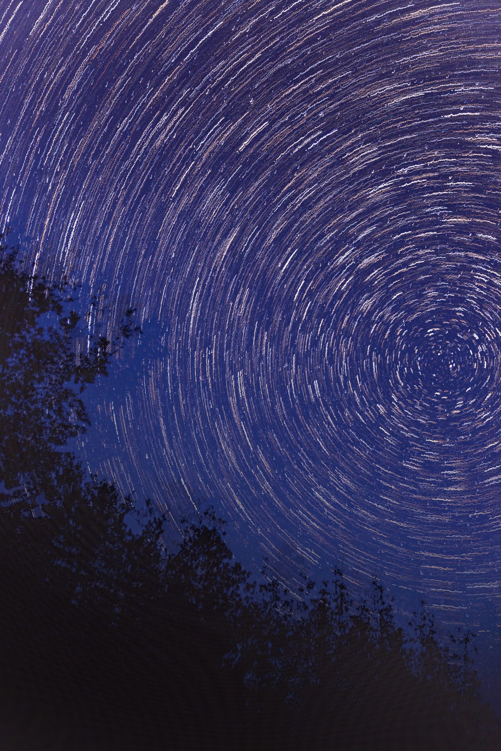 The Starry Night